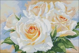 Роза - букет цветов поз - оригинал