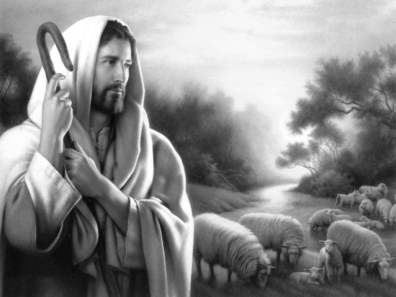 №1313621 - оригинал