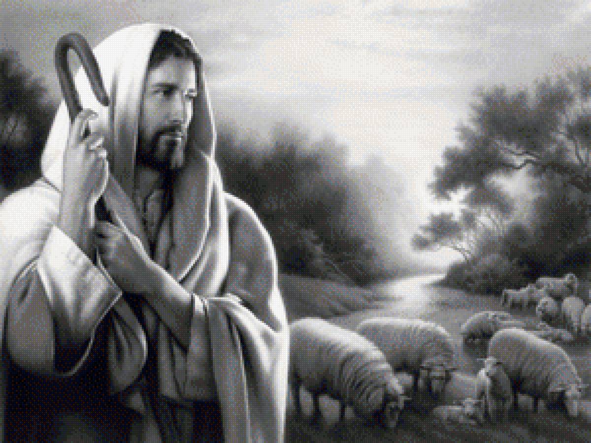 №1313621 - предпросмотр