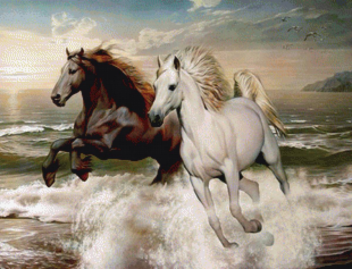 лошади - предпросмотр