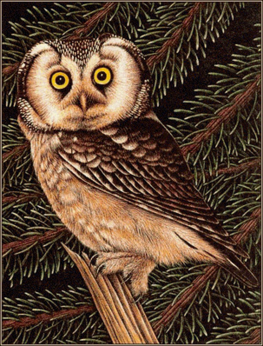 №1314343 - предпросмотр