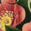 Предпросмотр схемы вышивки «дикая роза» (№1314550)