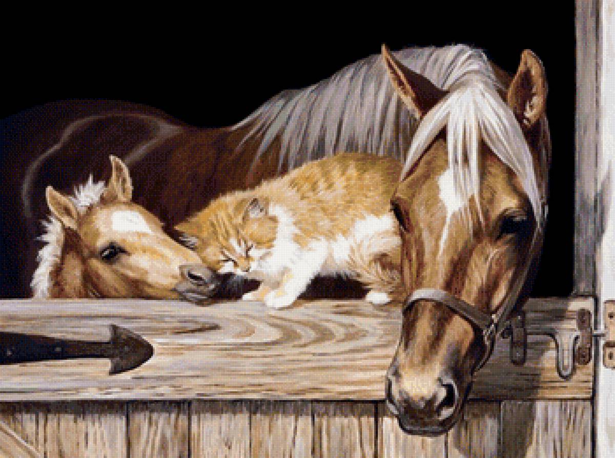 Друзья - кошки, лошади - предпросмотр