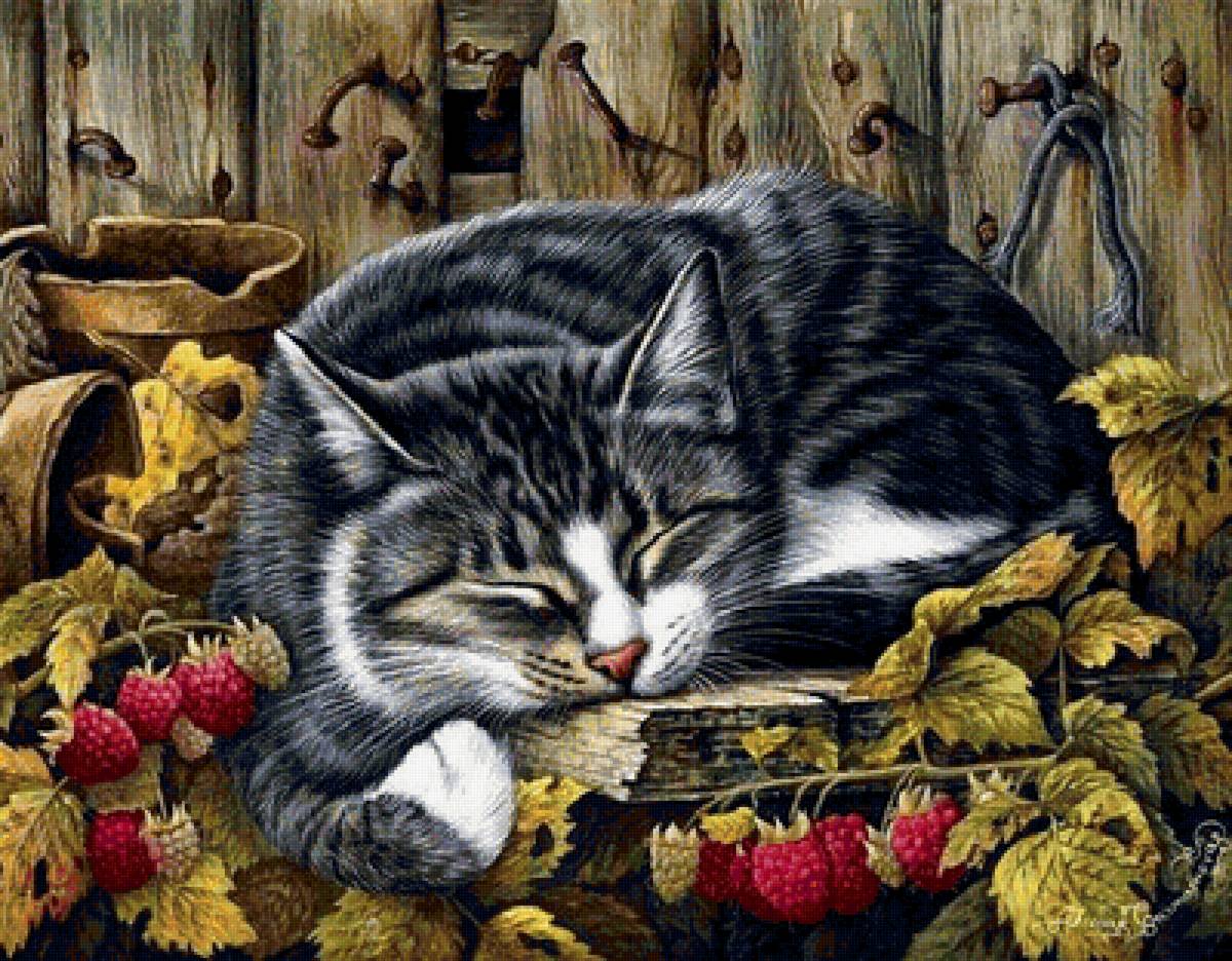 котик - предпросмотр