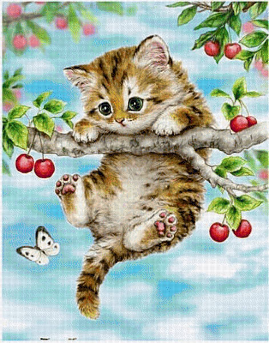 котик - коты, животные - предпросмотр