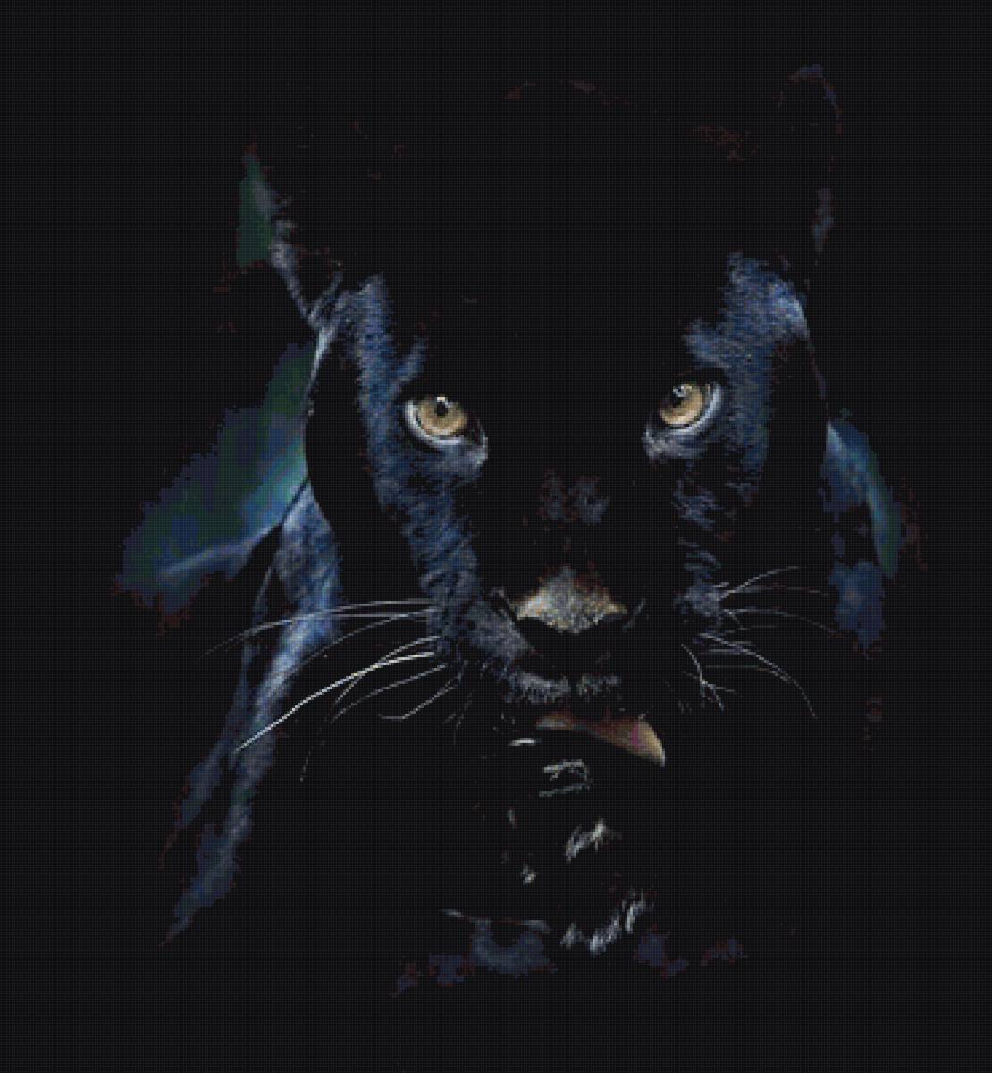 Пантера - предпросмотр