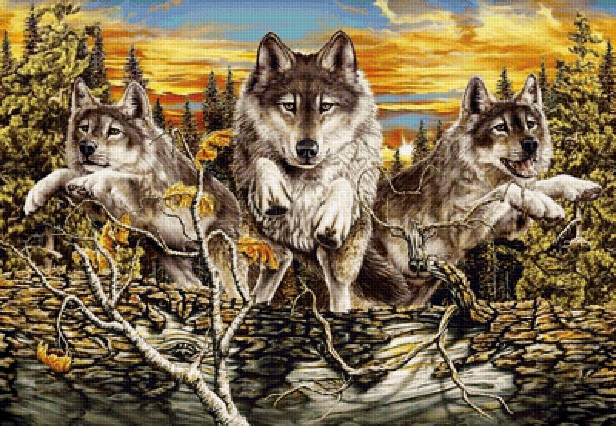 волки - картина, волки, лес, природа - предпросмотр