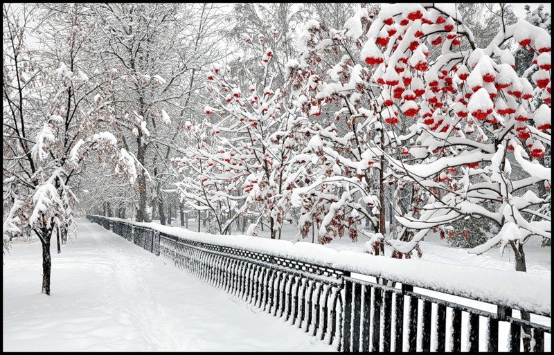 №1315347 - оригинал