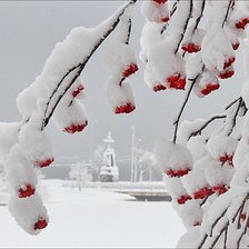 Схема вышивки «№1315350»