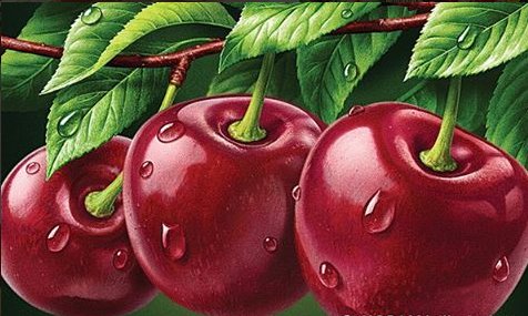 вишня - натюрморт - оригинал