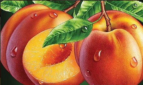 №1315700 - натюрморт - оригинал