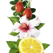 Схема вышивки «№1315705»