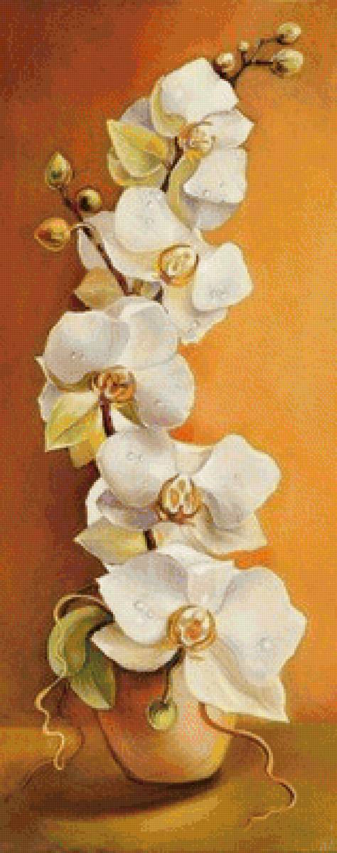 орхидея - цветы - предпросмотр