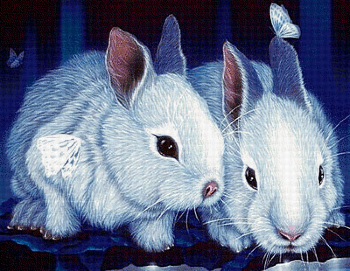 Зайчата - животные - предпросмотр