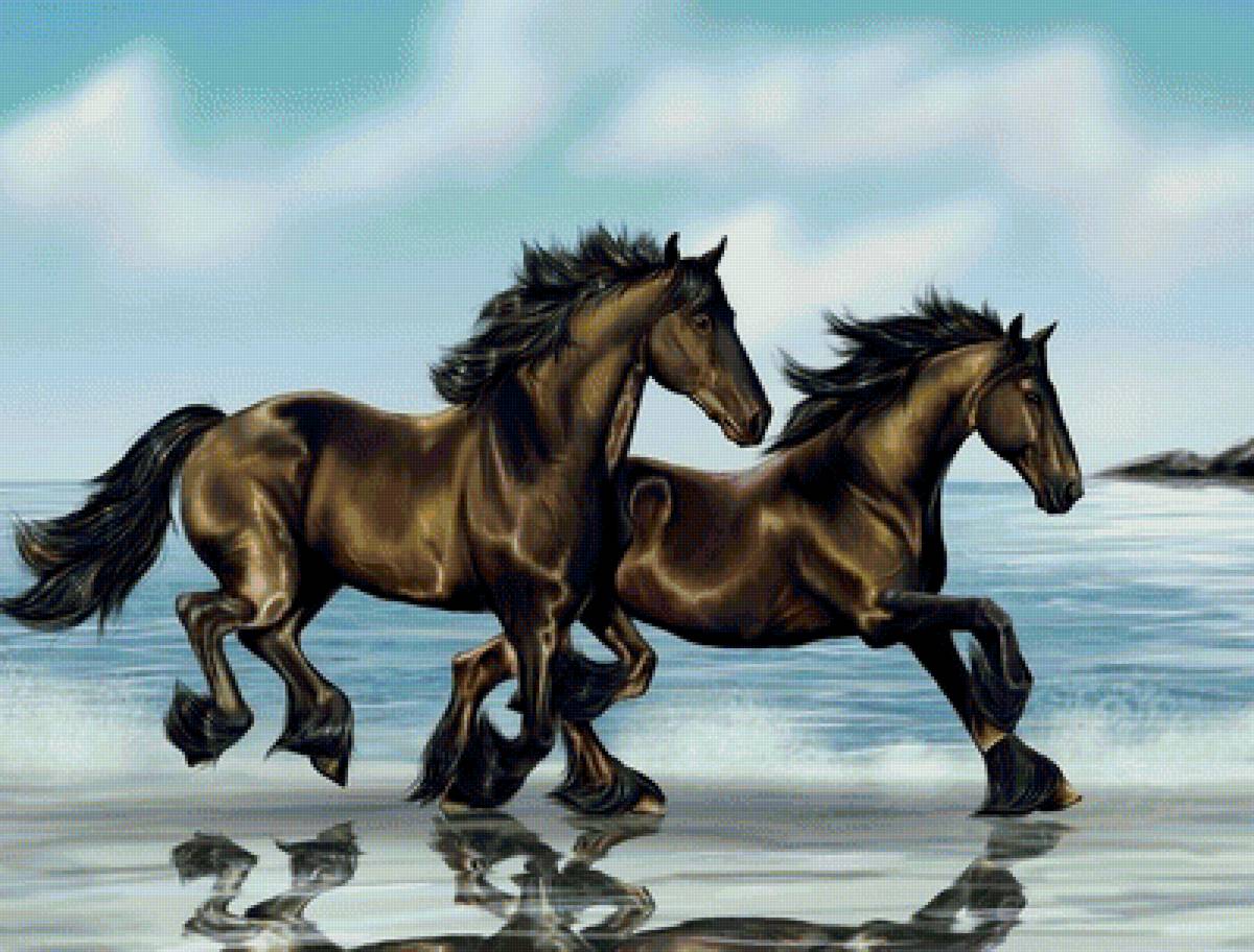 Бегущие по воде - лошади, пейзаж, море, природа - предпросмотр
