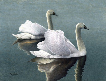 №1316278 - оригинал