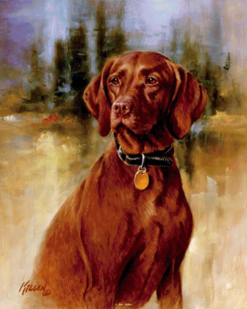 Выжла - предпросмотр