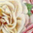 Предпросмотр схемы вышивки «розы» (№1316757)