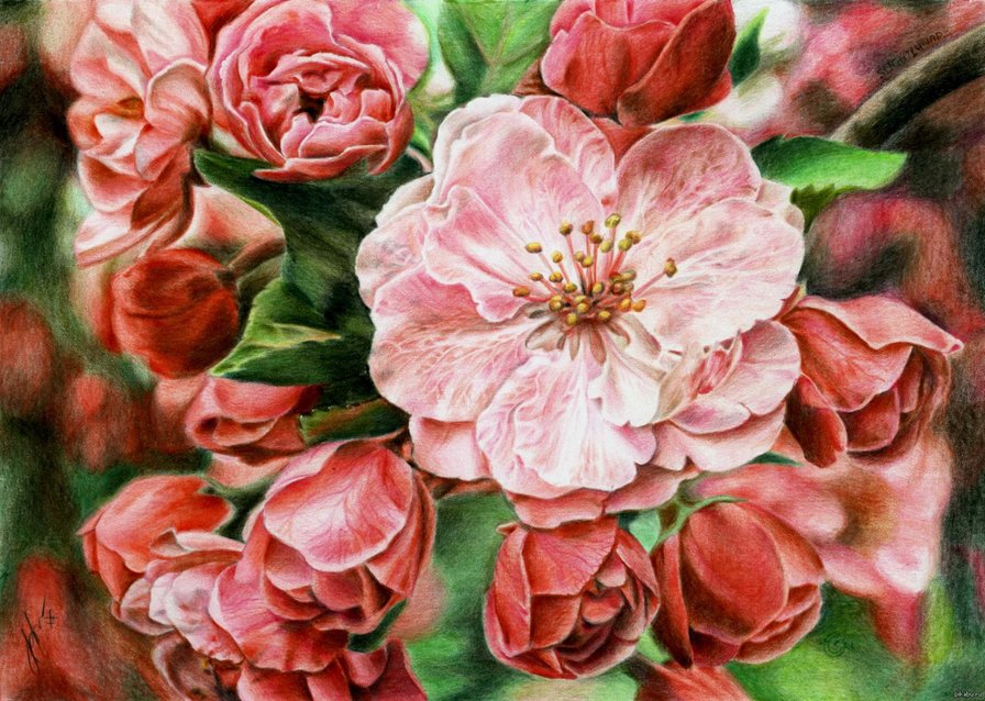 цветы - оригинал