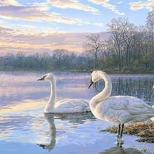 Схема вышивки «лебеди»