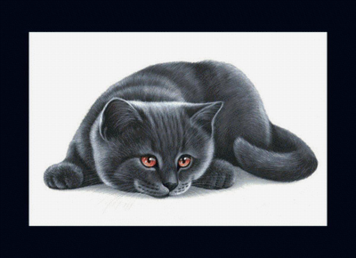 котик - животные, коты - предпросмотр