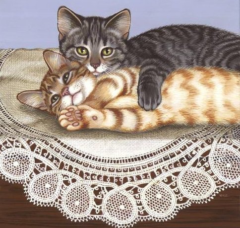 коты - коты, животные - оригинал