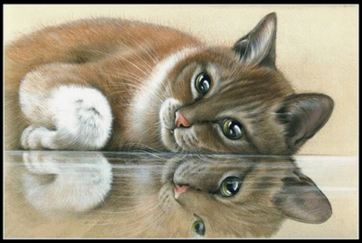 котик - коты, животные - предпросмотр