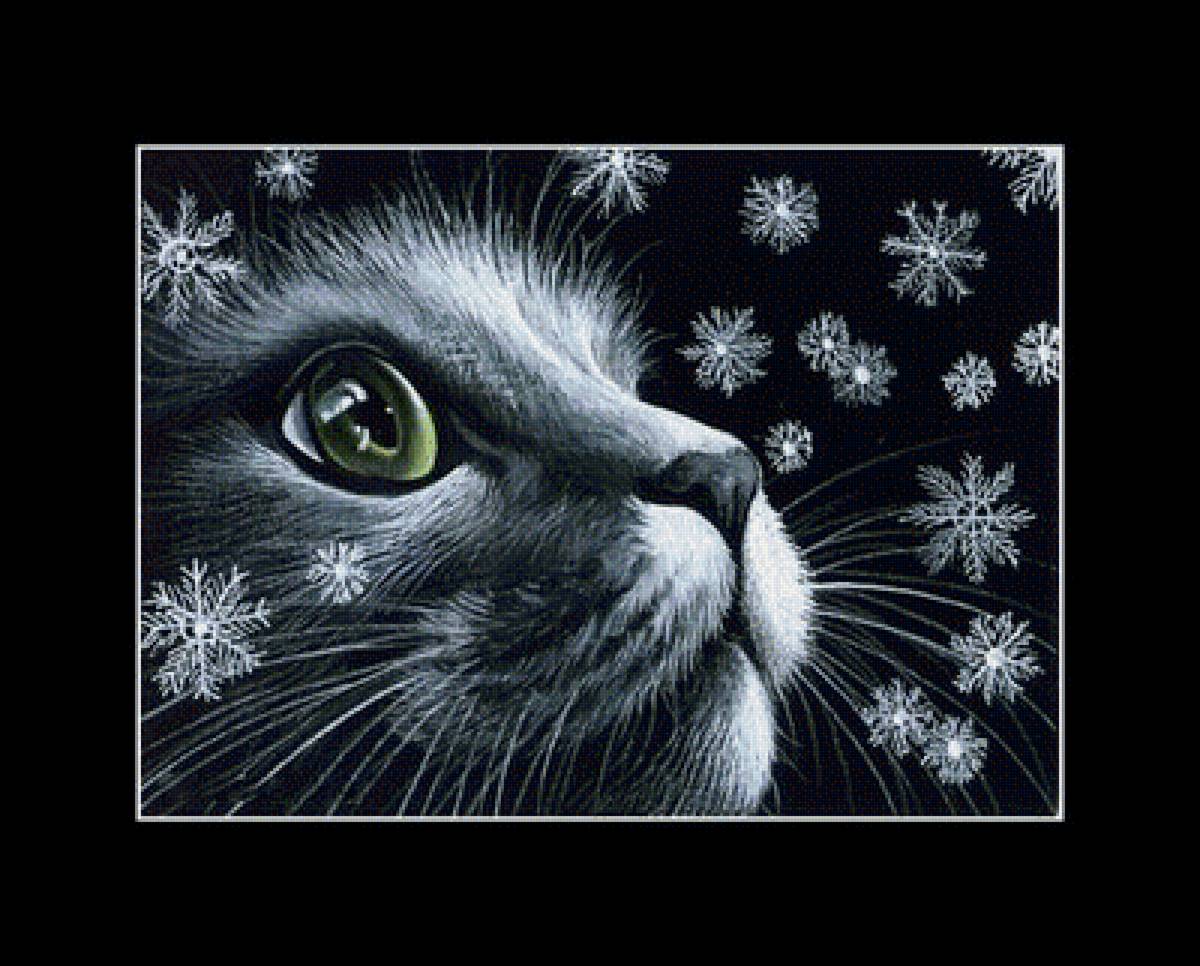 котик - коты, животные - предпросмотр