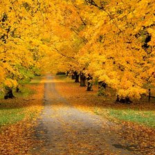 Схема вышивки «Золотая осень»