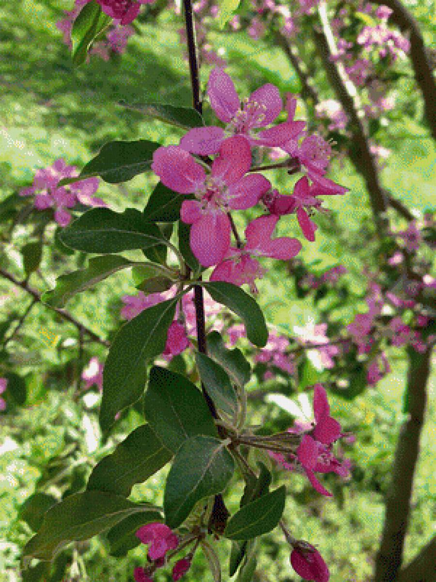 Весна - предпросмотр