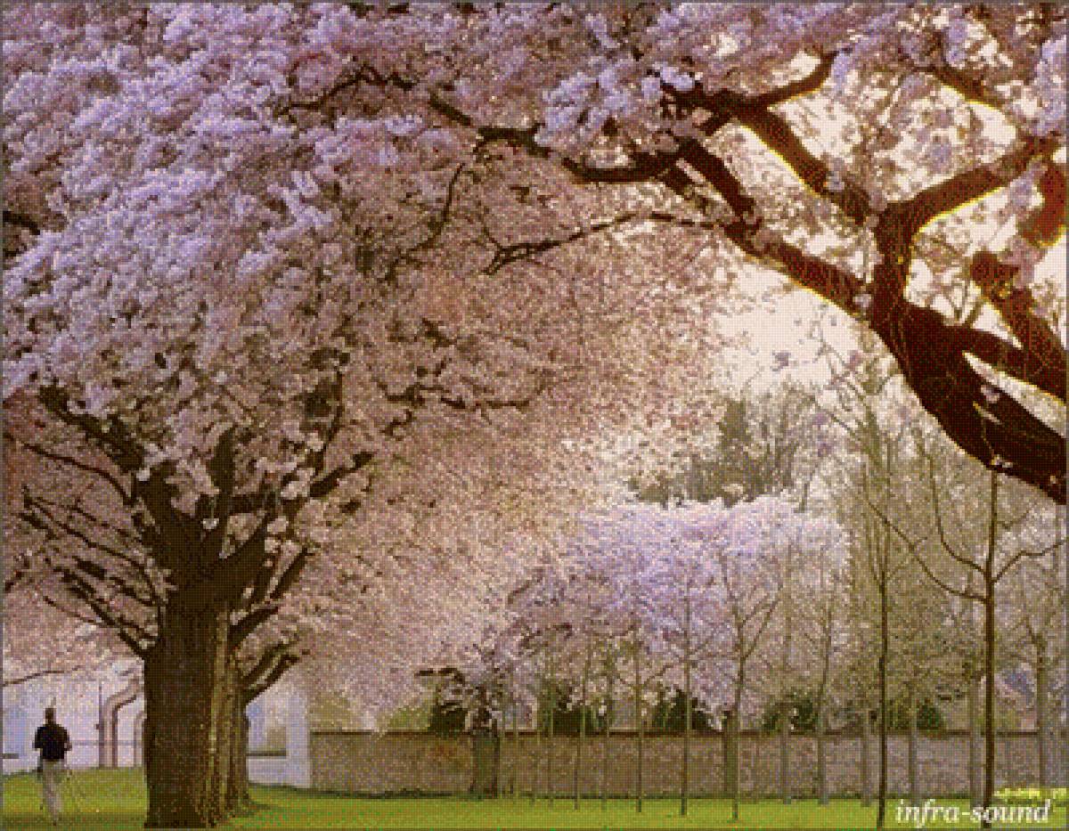 №1317818 - предпросмотр