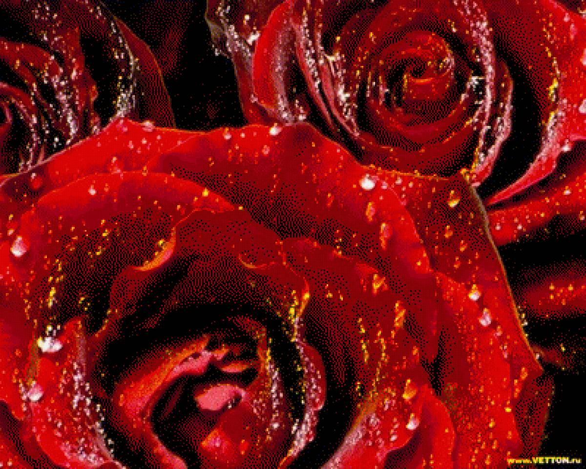 №1317823 - предпросмотр