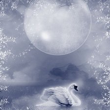 Луна лебединая. Луна и лебеди. Лебеди под луной. Лебедь при Луне. Лебедь ночью.
