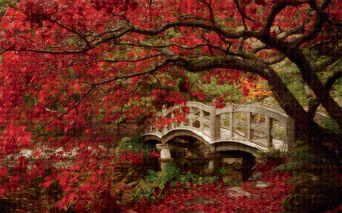 Япония - цветы, япония. мост - предпросмотр