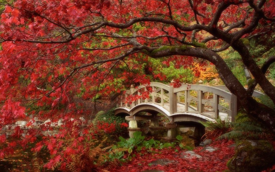 Япония - цветы, япония. мост - оригинал