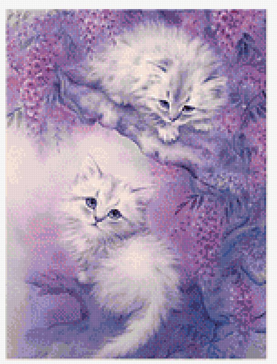 коты - коты - предпросмотр