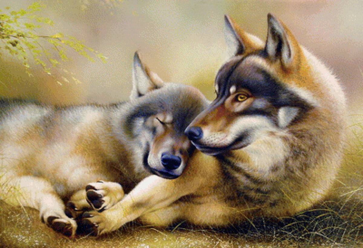 Семья волки - волки, семья - предпросмотр