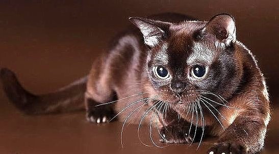 00028 - оригинал