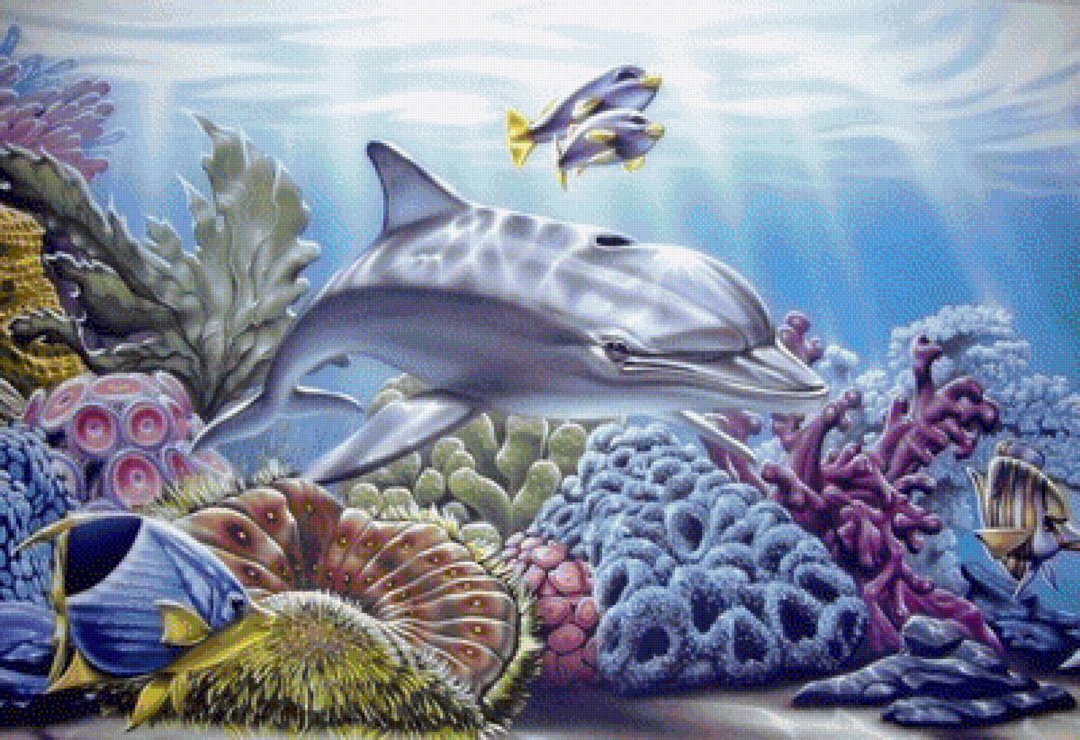 423 - предпросмотр