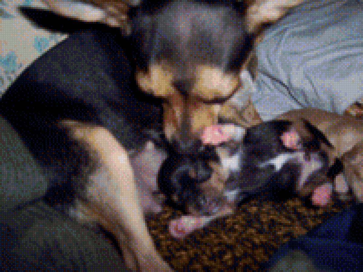 Молодая мама - собака - предпросмотр