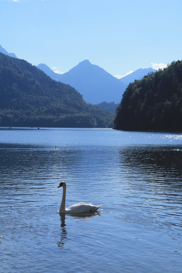 Alpensee - bavaria, mountains, lake - оригинал