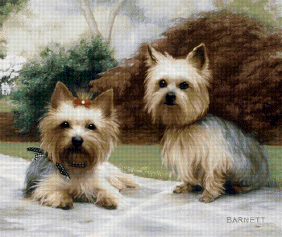 00044 - предпросмотр