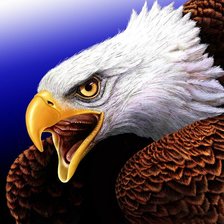 Схема вышивки «№1320662»