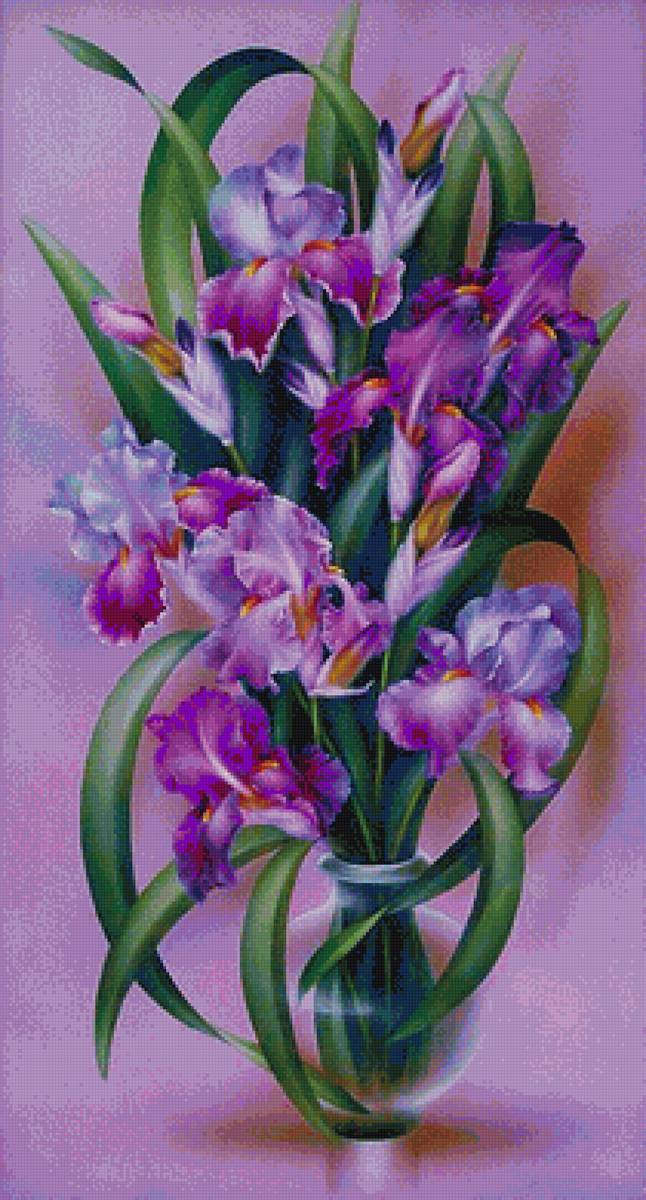 fialové kosatce - предпросмотр