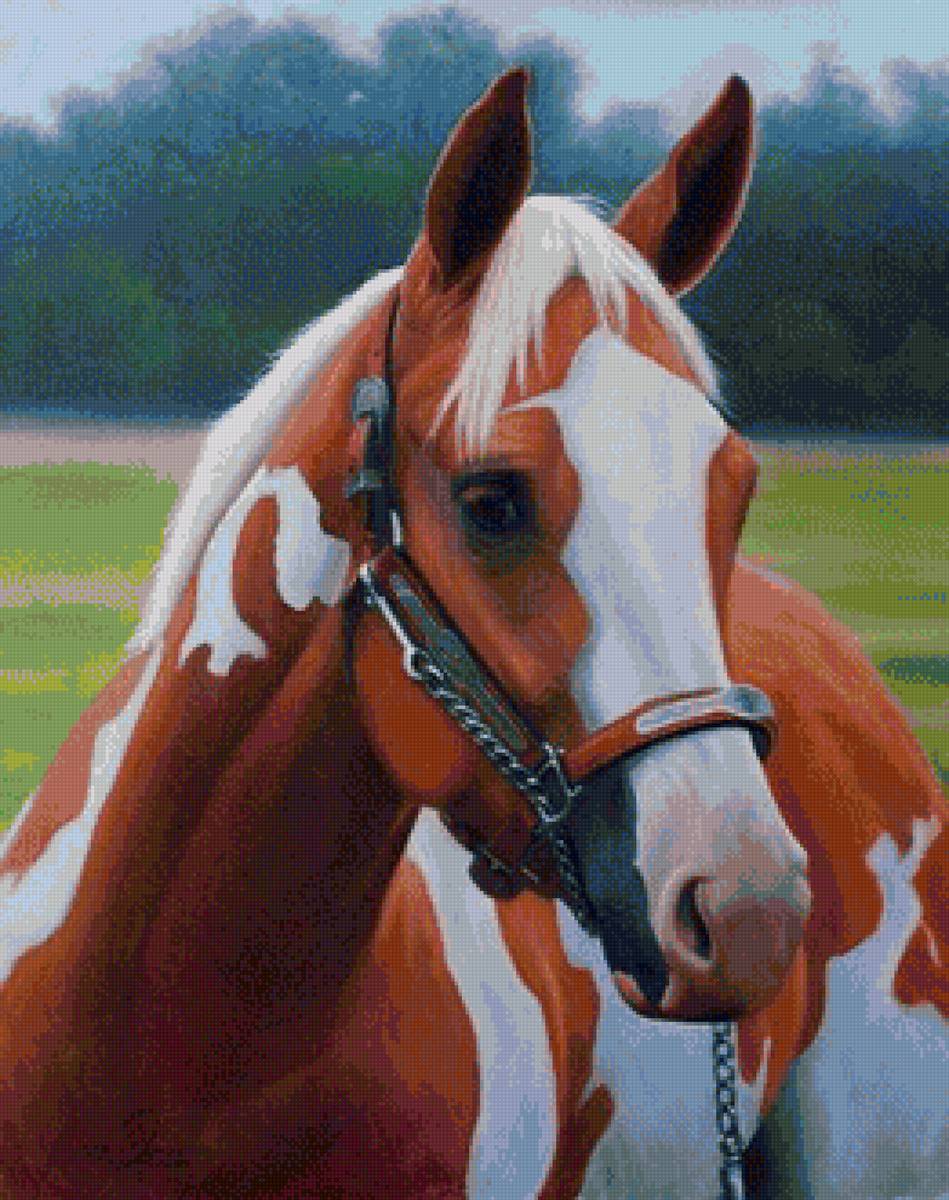 00051 - предпросмотр