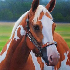 Схема вышивки «00051»