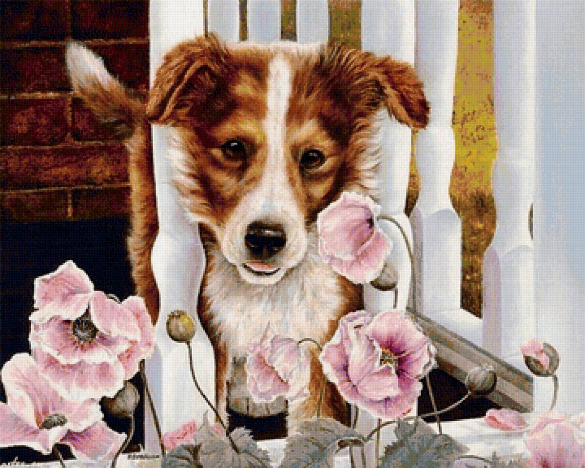 00053 - предпросмотр