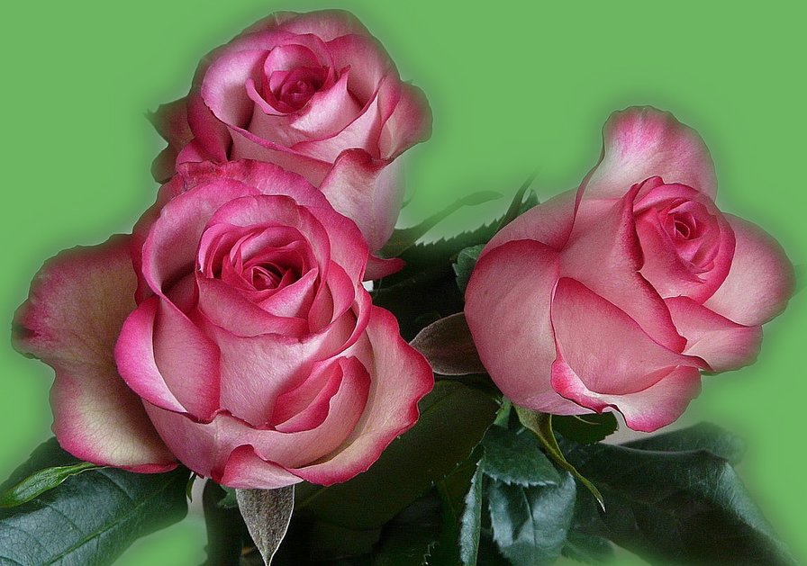 №1321261 - оригинал