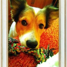 Схема вышивки «любимый Татошка»