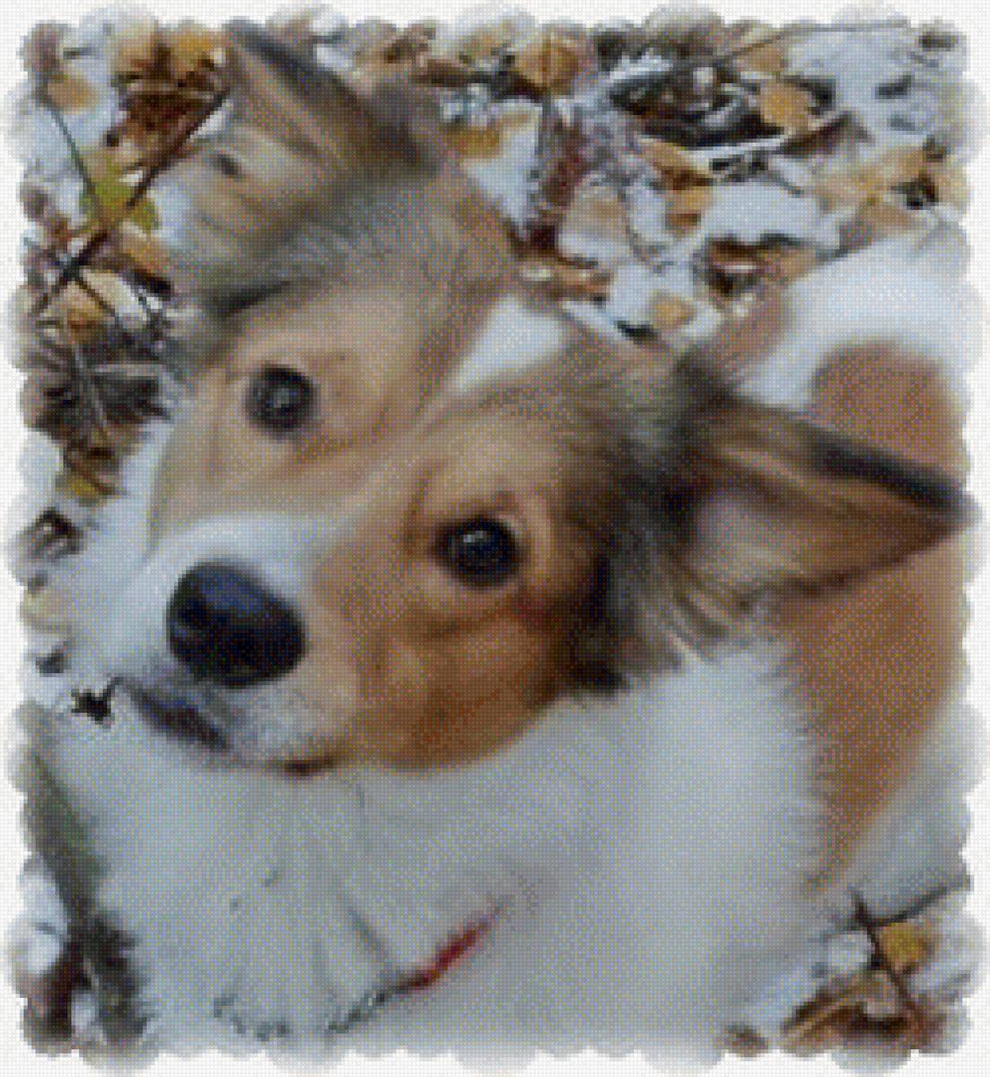 татошка - предпросмотр